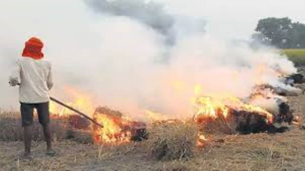Five farmers in the district have been hit with FIRs fines and red entries for burning paddy stubble